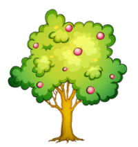 apple-fruit-tree-clipart