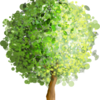 forest-tree-clipart