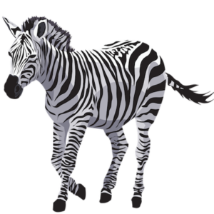 free_download_white_black_zebra_transparent_background