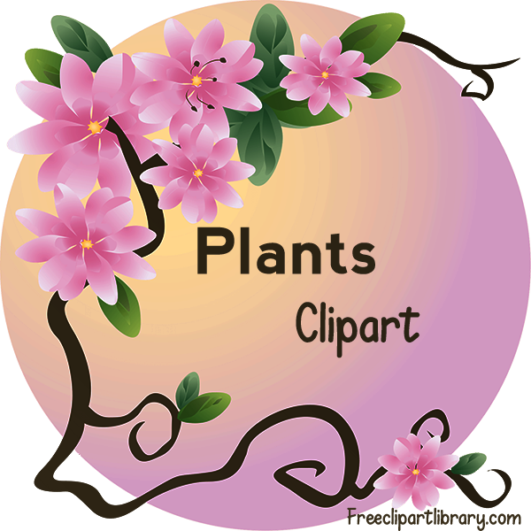 Plants clipart