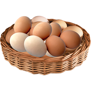 vector_eggs_basket_png_clipart_free_download