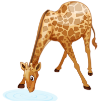 download_vector_giraffe_drinking_water_free_clipart