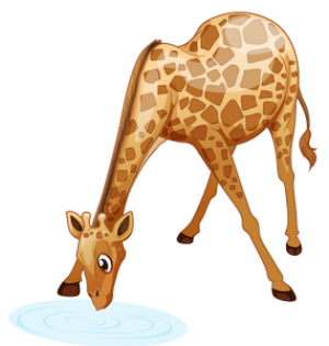 download_vector_giraffe_drinking_water_free_clipart