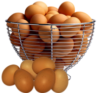 vector_transparent_background_egg_basket_clipart_png