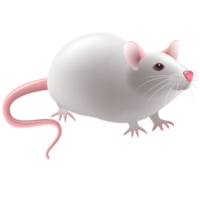 free_download_white_cartoon_mouse_animal_clipart