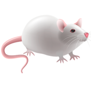 free_download_white_cartoon_mouse_animal_clipart