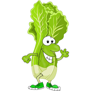 free_download_cartoon_lettuce_leaf_png_clipart
