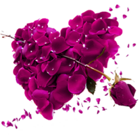 free-download-beautiful-pink-rose-petals-rose-heart