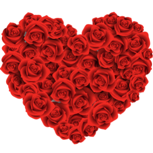 beautiful-red-roses-heart-free-download