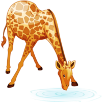 free-download-cartoon-animal-giraffe-drinking-water-clipart