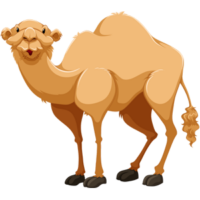 cute-cartoon-arabian-camel-clipart