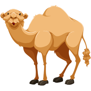 cute-cartoon-arabian-camel-clipart