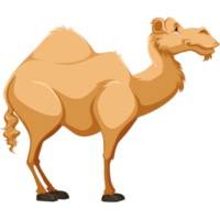 cute-cartoon-desert-animal-camel-clipart