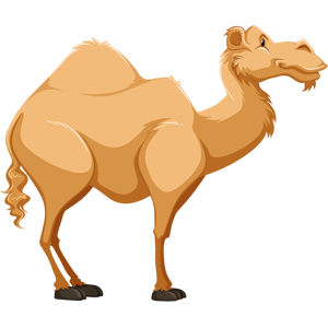 cute-cartoon-desert-animal-camel-clipart