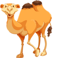 free-download-cute-two-colors-desert-animal-camel-clipart