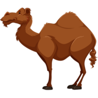 free-download-deep-brown-cartoon-animal-camel-clipart
