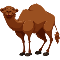 free-download-innocent-desert-animal-camel-clipart