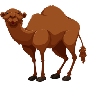 free-download-innocent-desert-animal-camel-clipart