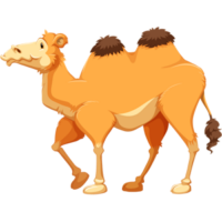 free-download-strong-desert-animal-camel-clipart